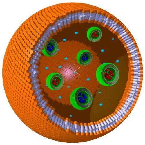 First plastic cell with working organelle