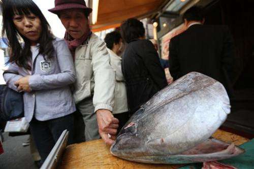 Fisheries to cut catch of endangered bluefin tuna