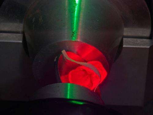 Gummy bears under antiparticle fire