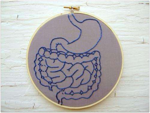How gut bacteria ensures a healthy brain – and could play a role in treating depression