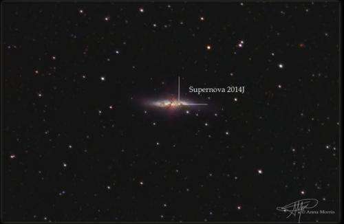 How Supernova 2014J will help determine the extragalactic distance scale and impact cosmology