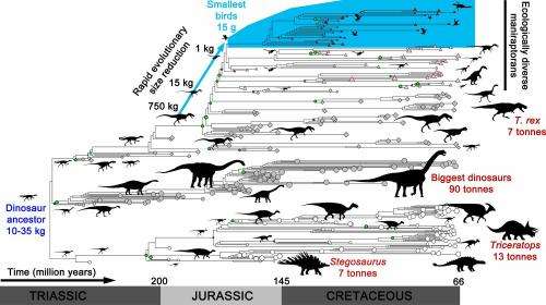 Shrinking helped dinosaurs and birds to keep evolving