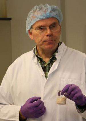 In this picture received via Ogilvy PR on August 5, 2013, Professor Mark Post works on creating the world's first lab-grown beef