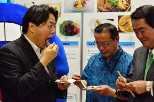 Japanese Agriculture Minister Yoshimasa Hayashi (L), accompanied by Japanese lawmakers, eats whale meat at his ministry in Tokyo