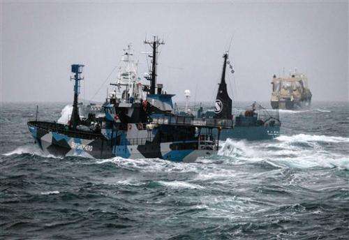 Japanese whalers, protesters clash off Antarctica