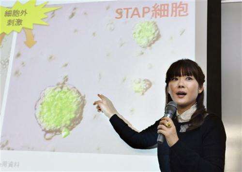 Japan lab says stem cell research falsified (Update)