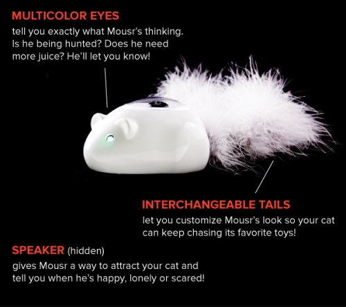 Kickstarter Project Mousr: Mouse toy prey for your cat