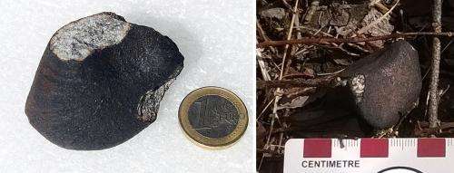 Kola fireball meteorites found in Russia
