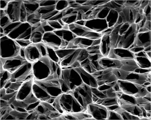 Nanotubes help healing hearts keep the beat