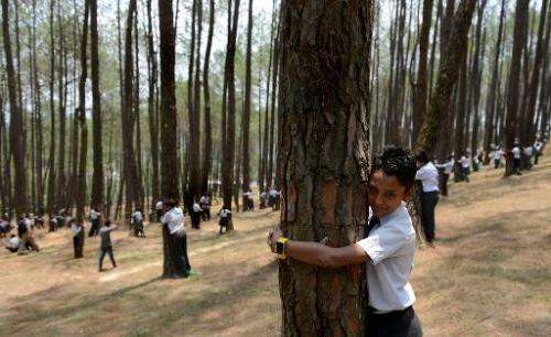 Nepalese school children hug trees as they celebrate World Environment Day in the forest of Gokarna village, on the outskirts of