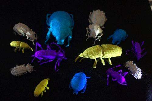 New 3D colour scans of insects