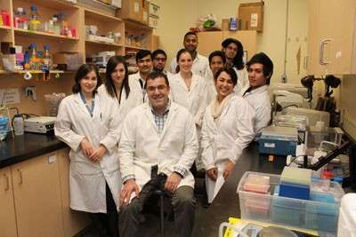 New approaches to cell study contributes to cancer research