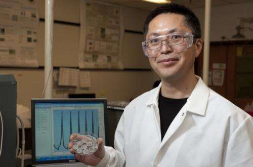 New battery technology employs multifunctional materials