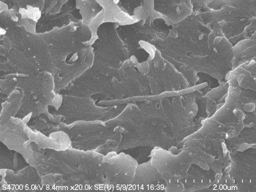 New class of industrial polymers discovered