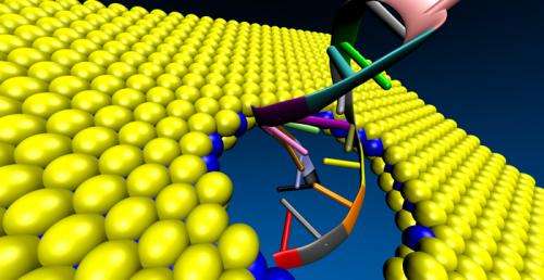New material could enhance fast and accurate DNA sequencing