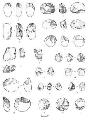 New palaeolithic artifacts discovered from loess deposits of Lantian, Central China