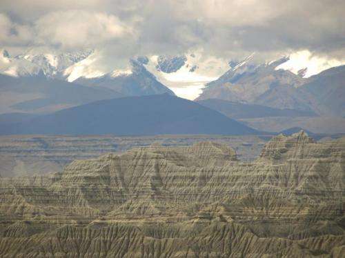 New paper suggests High Tibet was cradle of evolution for cold-adapted mammals