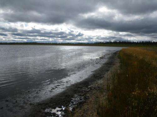 New permafrost is forming around shrinking Arctic lakes, but will it last?