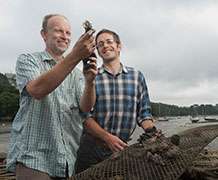 New research examines shellfish consumption