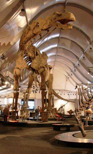 New research on sauropod gigantism summarized in publicly available collection