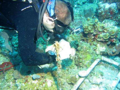 New study of largely unstudied mesophotic coral reef geology