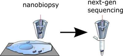 New technique allows "nanobiopsies" of living cells