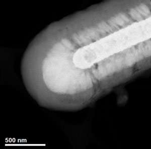 NIST scientists improve microscopic batteries with homebuilt imaging analysis