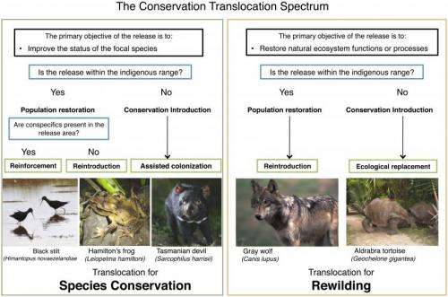 No returning to Eden: Researchers explore how to restore species in a changing world