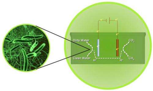 Novel system uses microbes to treat, extract power from wastewater