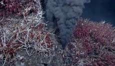 NSF grant allows UGA researchers to monitor deep-sea plumes