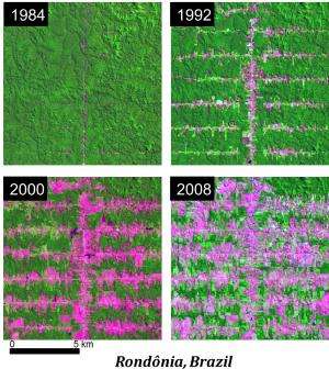 Patterns of deforestation may increase Amazon’s vulnerability to drought