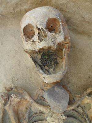 Post-medieval Polish buried as potential 'vampires' were likely local