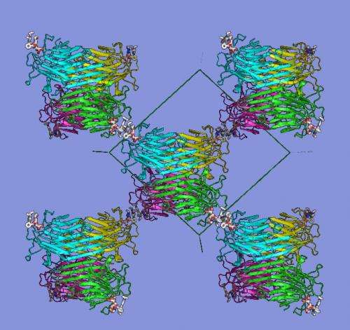 Proteins: New class of materials discovered