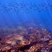 Public opinion should help sway marine policy according to study