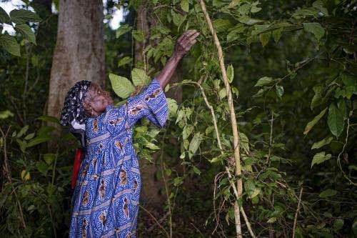 'Remarkable social progress' when forests are FSC certified - new study confirms