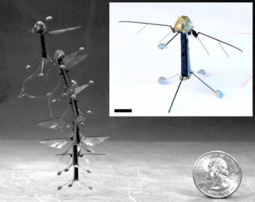 Researchers mimic insect ocelli to build light sensor to control fly-sized drone