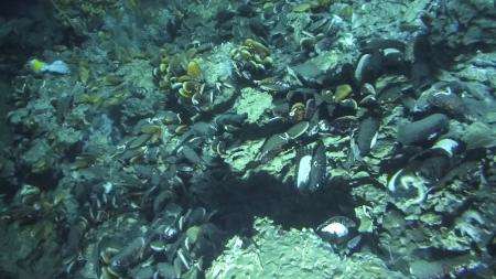 Rock-dwelling microbes remove methane from deep sea