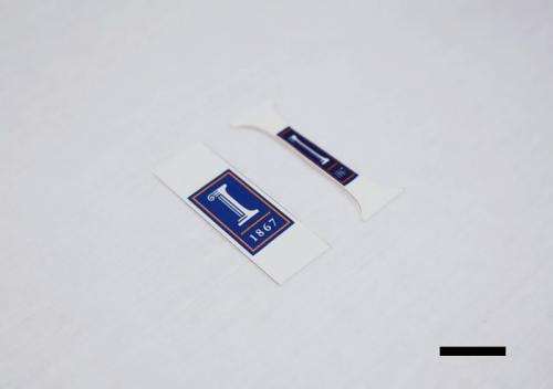 Shrinky Dinks close the gap for nanowires