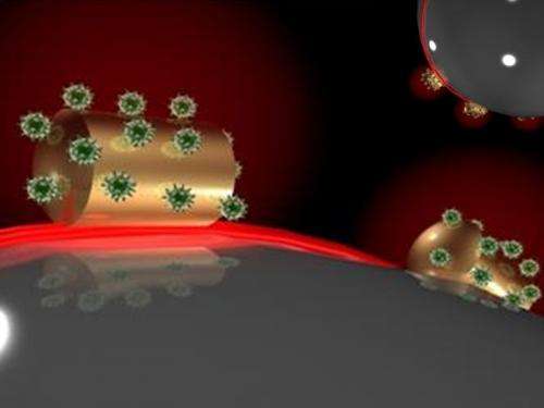 Single unlabelled biomolecules can be detected through light