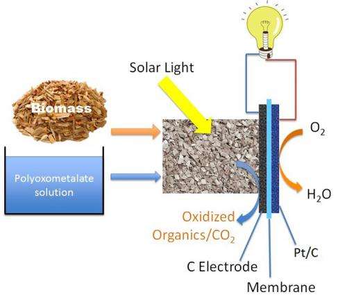Solar-induced hybrid fuel cell produces electricity directly from biomass