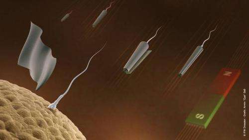 Sperm-bots are made to move in desired direction