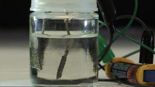 Stanford scientists develop a water splitter that runs on an ordinary AAA battery