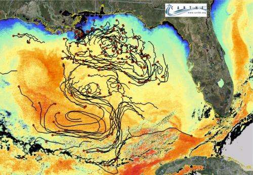Study at Deepwater Horizon spill site finds key to tracking pollutants