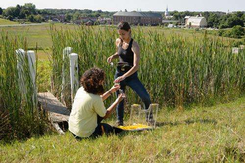 Studying wetlands as a producer of greenhouse gases