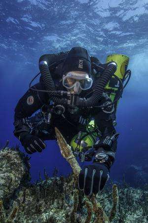 Stunning finds from ancient Greek shipwreck