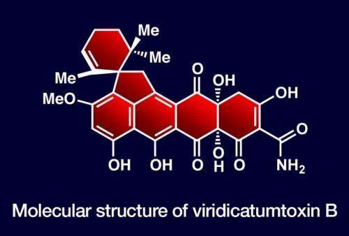 Synthesis produces new antibiotic