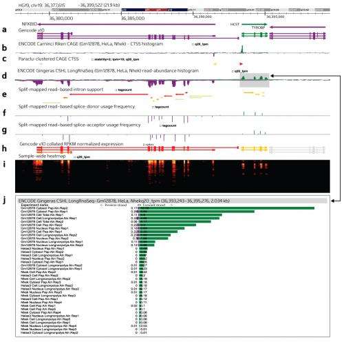 Technologies for analyzing gene expression at the genomic scale