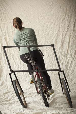 The 'bricycle' dilemma - to steer or balance?