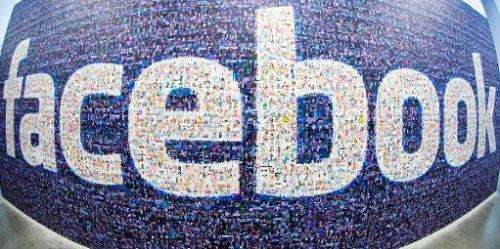 The Facebook logo created from pictures of Facebook users worldwide in the company's Data Center, on November 7, 2013 in Luleaa,