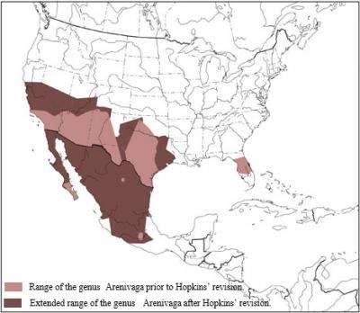 Thirty-nine new species of endemic cockroach discovered in the southwestern US and Mexico